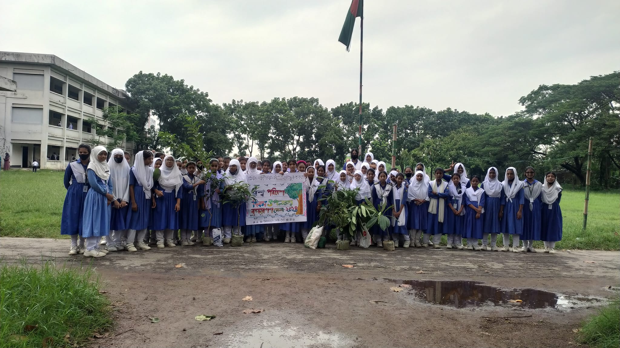Tree Plantation
